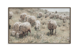 Sheep & Shepherd
