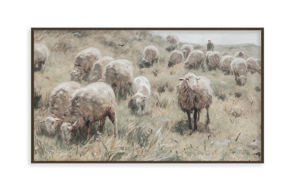 Sheep & Shepherd