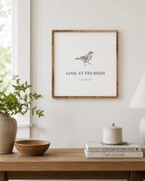 Look at the Birds