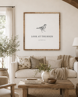 Look at the Birds