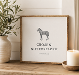Chosen Not Forsaken