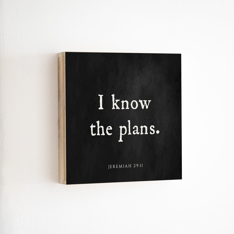 14 x 14" | BF | I Know The Plans