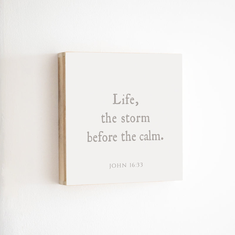 14 x 14" | BF | Life The Storm