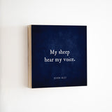 14 x 14" | BF | My Sheep Hear