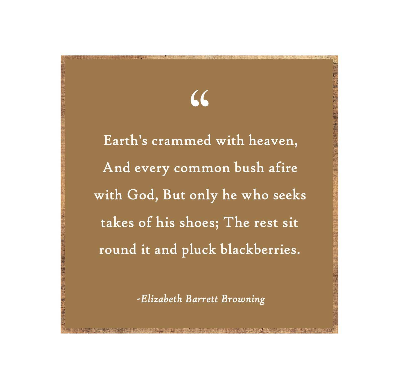 bushdebrunt Heaven and Earthカラータン　レディガード bushdebrunt Heaven and Earth カラーBK 公式通販 bushdebrunt Heaven