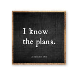 I know the plans