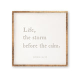 Life, The Storm Before the Calm