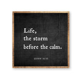 Life, The Storm Before the Calm