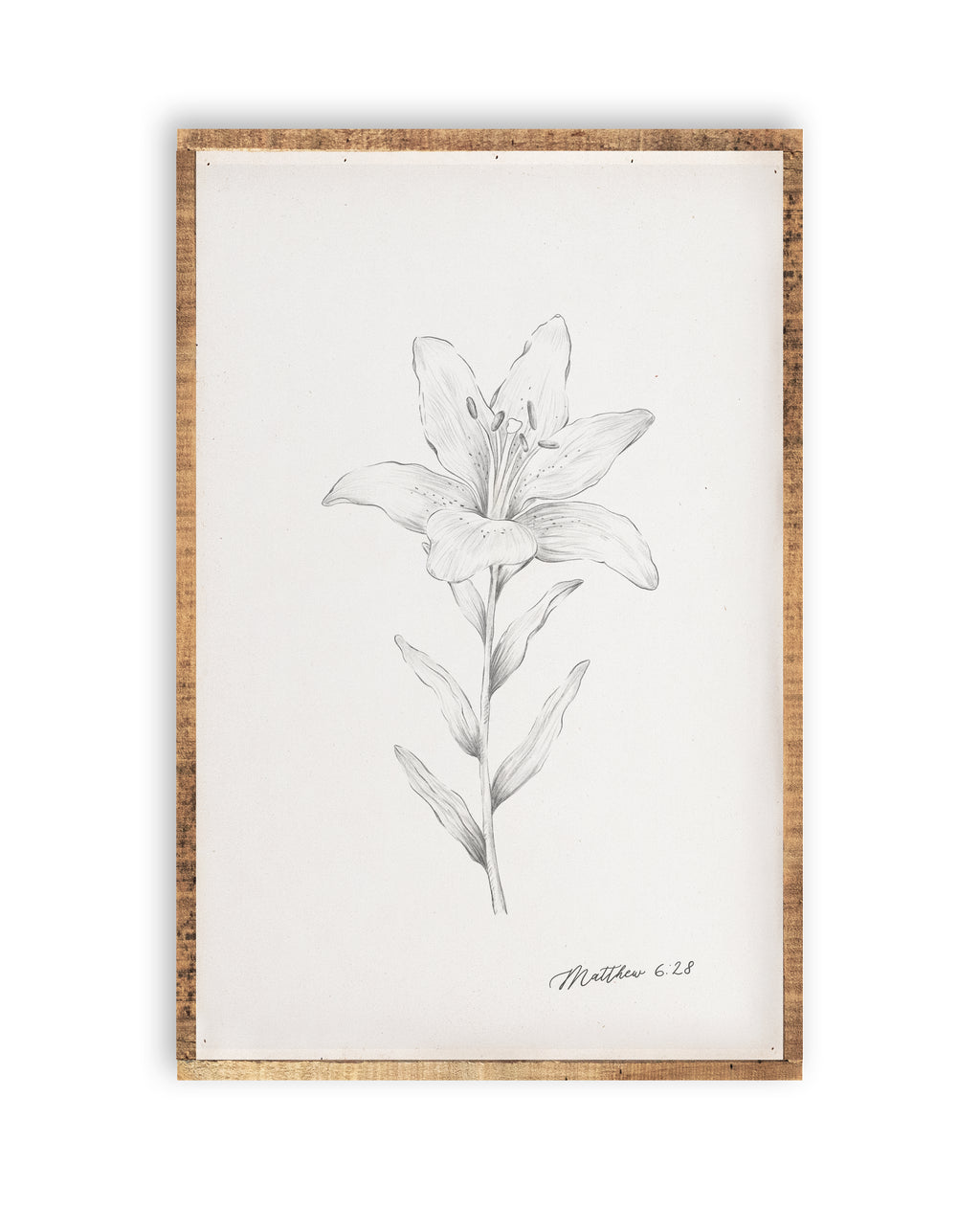 107,449 Flower sketch Stock Illustrations | Depositphotos