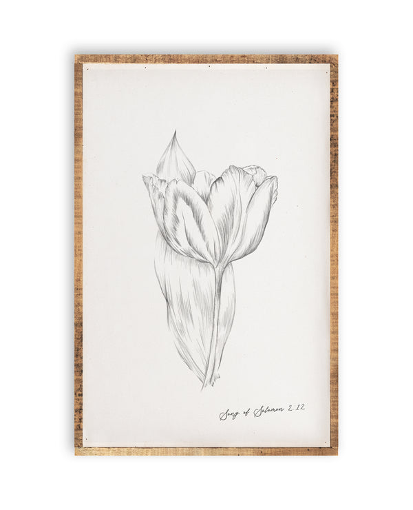 Flower Pencil Sketch Bundle