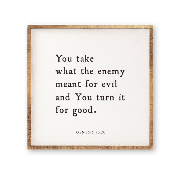 You take what the enemy meant for evil
